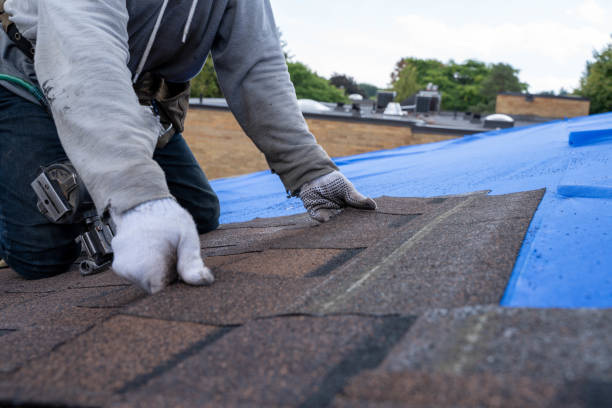 Best Flat Roof Repair Services  in Wyncote, PA